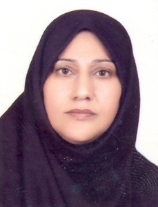 Zahra Hossein Abadi