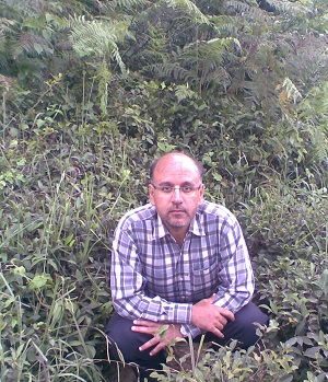 Nader Kouhestani