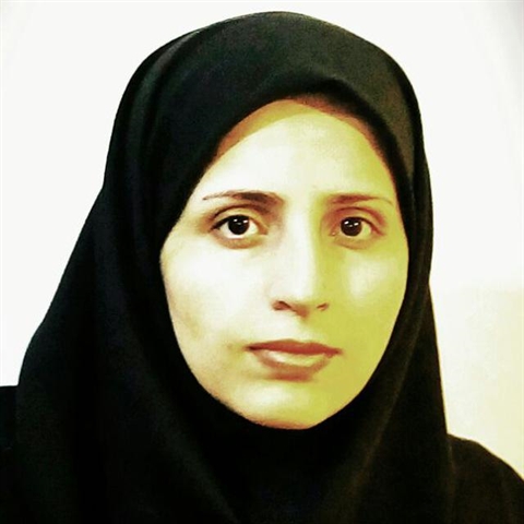سرپرست مرکز آموزش های آزاد الکترونیکی دانشگاه منصوب شد.