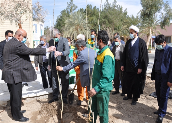 برگزاری طرح "پویش ملی همکاشت" (روز درختکاری) در دانشگاه سیستان و بلوچستان