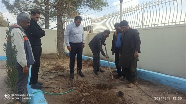  کاشت نهال به یاد شهید دانشجو رحمیداد کردی در دانشکده صنعت و معدن خاش 