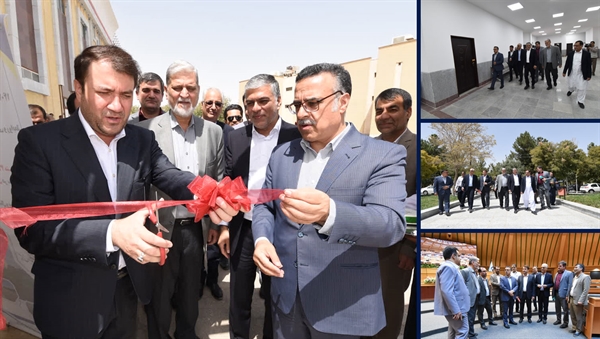 بازدید معاون اداری و مالی وزارت علوم و مشاور وزیر و مدیرکل حوزه وزارتی از دانشگاه سیستان و بلوچستان