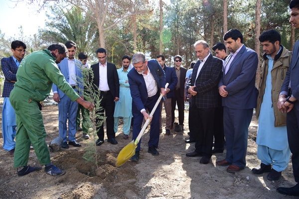 برگزاری جشنواره روز درختکاری در دانشگاه سیستان و بلوچستان