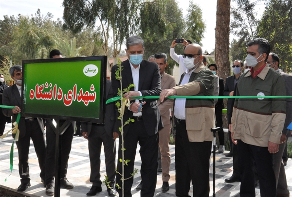 برگزاری دومین پویش ملی نهال‌کاری (همکاشت)