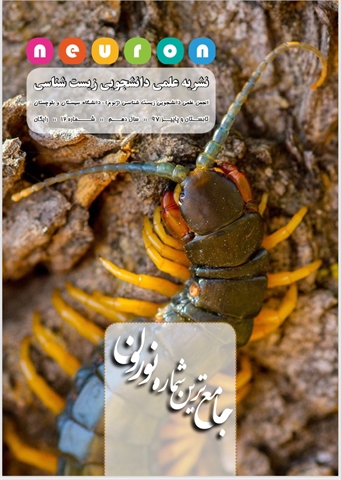 انتشار دوازدهمین شماره نشریه علمی زیست شناسی نورون 