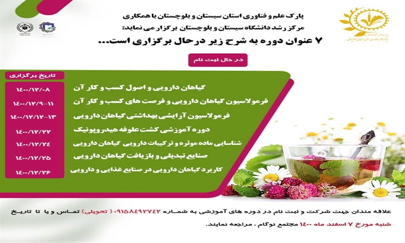 کارگاه گیاهان دارویی و اصول کسب و کار آن