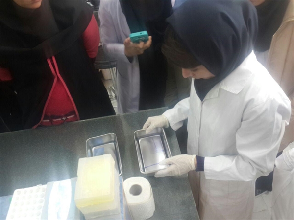برگزاری کارگاه SDS-PAGE 