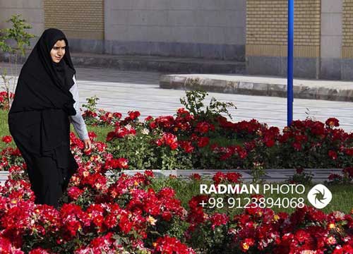 دانشگاه سیستان و بلوچستان