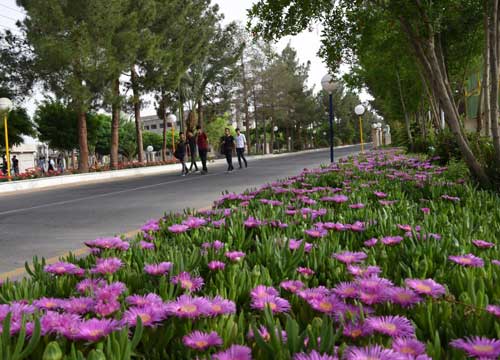 دانشگاه سیستان و بلوچستان