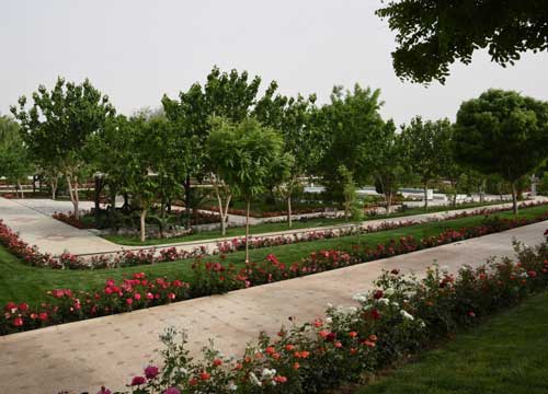 دانشگاه سیستان و بلوچستان