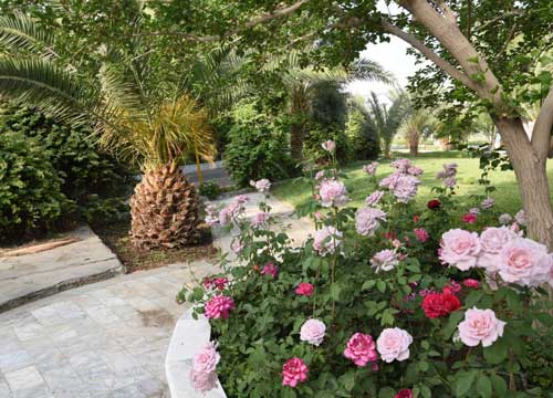 دانشگاه سیستان و بلوچستان