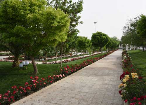 دانشگاه سیستان و بلوچستان