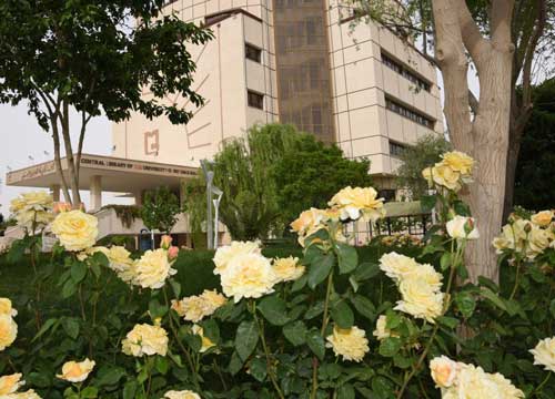 دانشگاه سیستان و بلوچستان