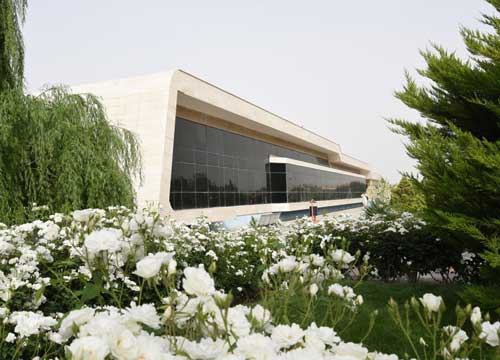 دانشگاه سیستان و بلوچستان