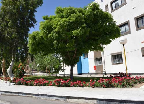 دانشگاه سیستان و بلوچستان