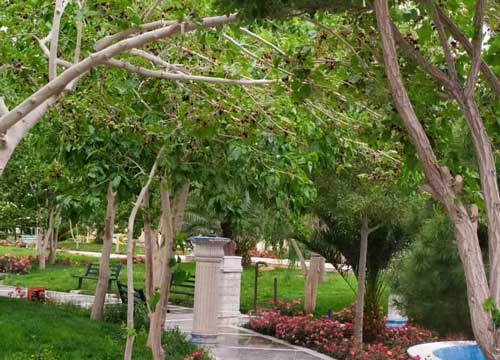 دانشگاه سیستان و بلوچستان