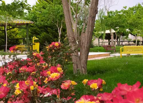 دانشگاه سیستان و بلوچستان