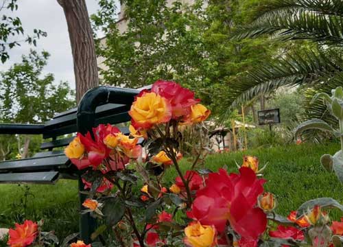 دانشگاه سیستان و بلوچستان