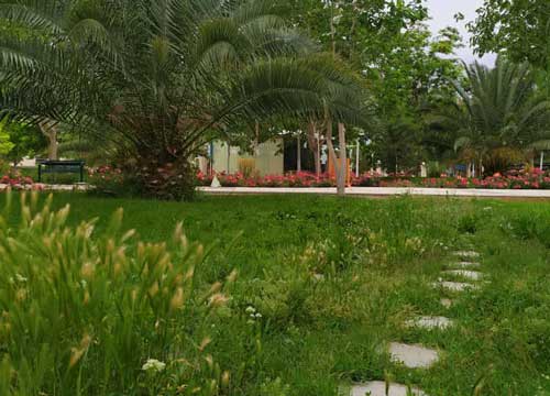 دانشگاه سیستان و بلوچستان