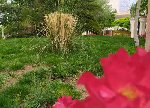 دانشگاه سیستان و بلوچستان