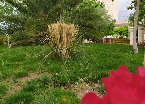 دانشگاه سیستان و بلوچستان