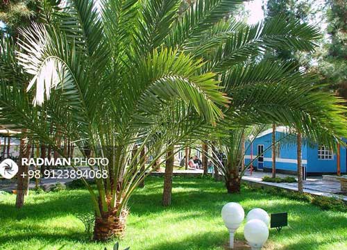 دانشگاه سیستان و بلوچستان