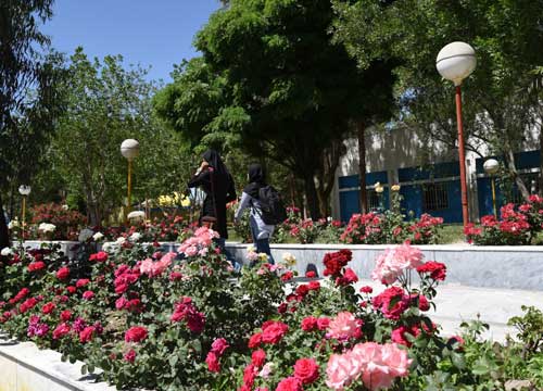 دانشگاه سیستان و بلوچستان